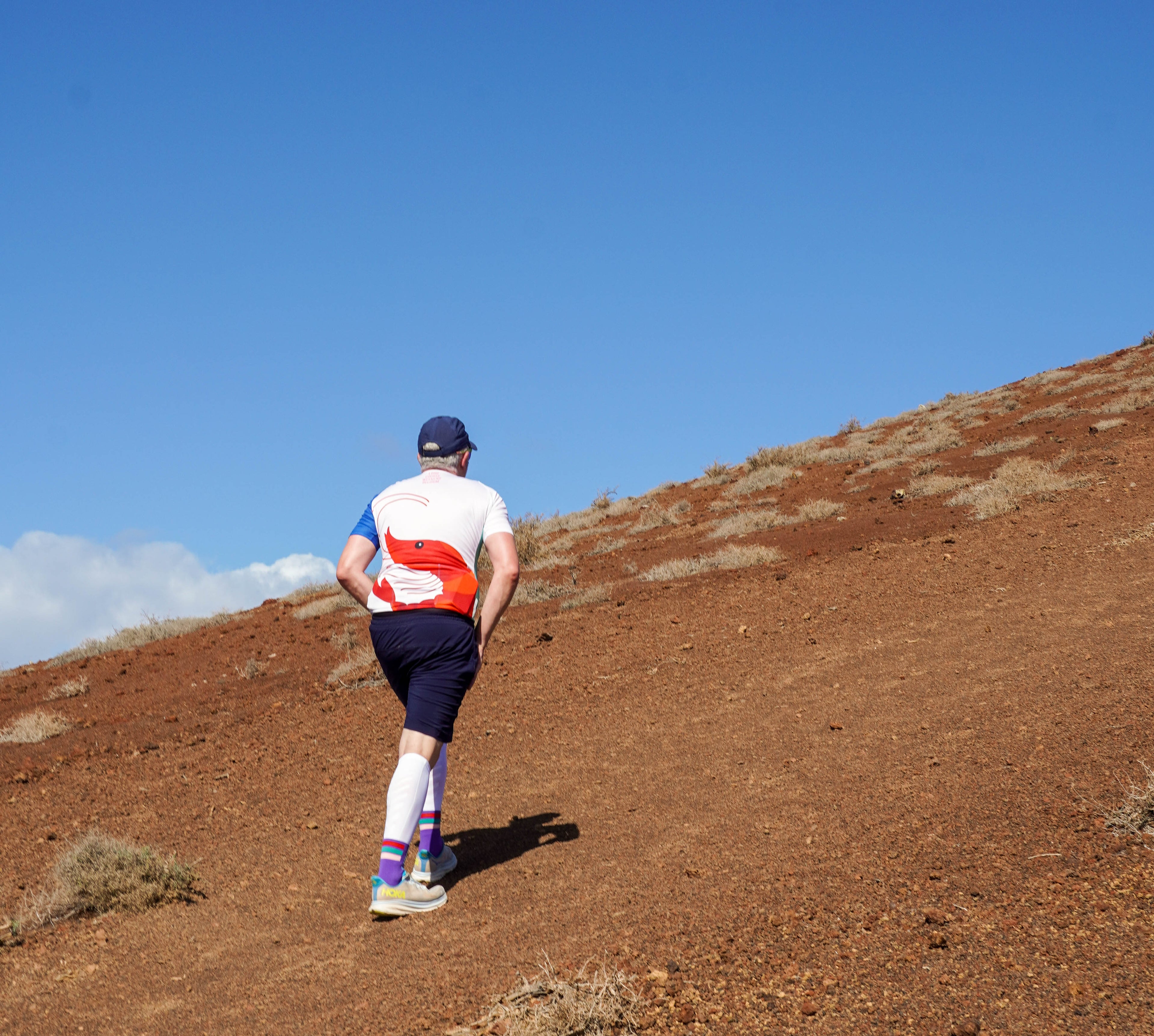 Fietstruitje Garnaal – LCW BE 2025